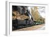 Cass Scenic Railroad 17 2-Robert Michaud-Framed Giclee Print