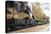 Cass Scenic Railroad 17 2-Robert Michaud-Stretched Canvas