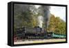 Cass Scenic Railroad 17 5-Robert Michaud-Framed Stretched Canvas