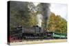 Cass Scenic Railroad 17 5-Robert Michaud-Stretched Canvas