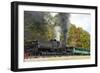 Cass Scenic Railroad 17 5-Robert Michaud-Framed Giclee Print