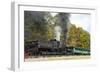 Cass Scenic Railroad 17 5-Robert Michaud-Framed Giclee Print