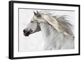 Cassanova 2-Susan Friedman-Framed Giclee Print