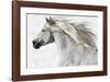 Cassanova 2-Susan Friedman-Framed Giclee Print