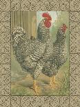 Roosters VI-Cassel-Art Print