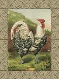 Roosters III-Cassel-Art Print