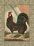 Roosters with Mat IV-Cassel-Art Print