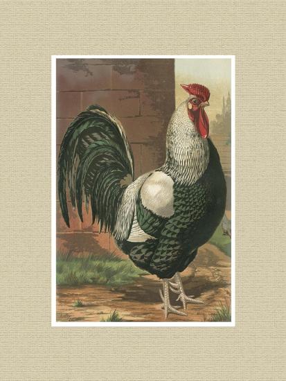 Premium Giclee Print, , large