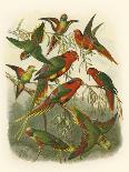 Red Cassel Birds II-Cassell-Art Print