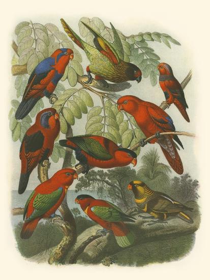 Art Print, , large
