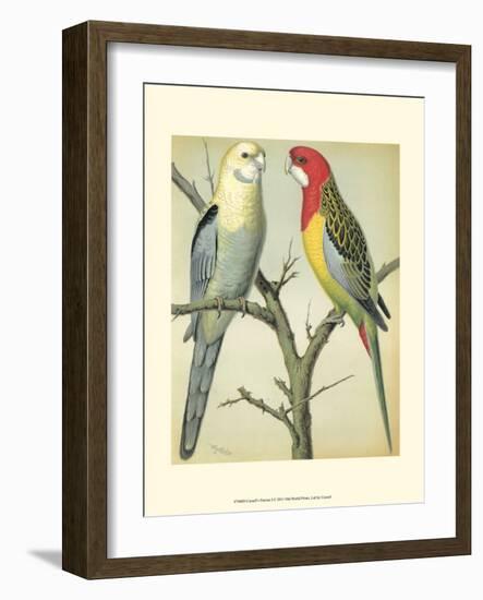 Cassell's Parrots I-Cassell-Framed Art Print