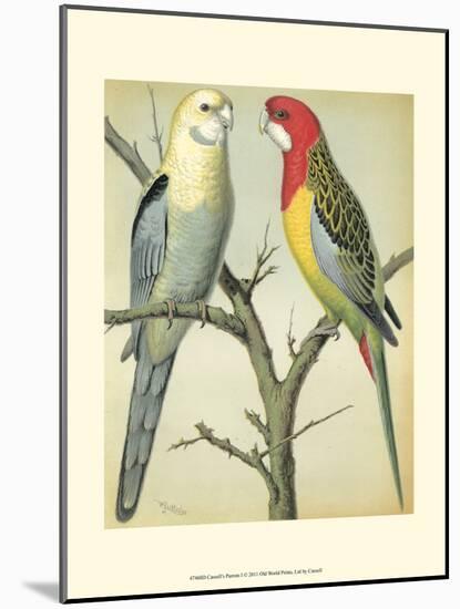 Cassell's Parrots I-Cassell-Mounted Art Print