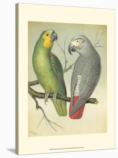 Cassell's Parrots II-Cassell-Stretched Canvas