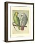 Cassell's Parrots II-Cassell-Framed Art Print