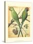 Cassell's Parrots III-Cassell-Stretched Canvas