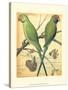 Cassell's Parrots III-Cassell-Stretched Canvas