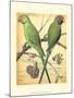 Cassell's Parrots III-Cassell-Mounted Art Print