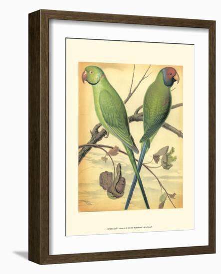 Cassell's Parrots III-Cassell-Framed Art Print