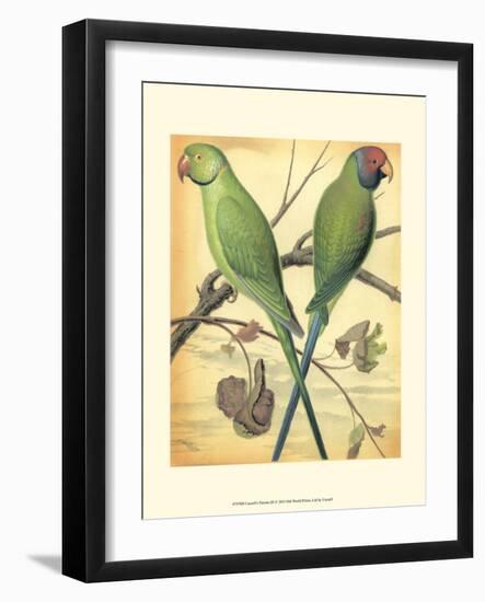 Cassell's Parrots III-Cassell-Framed Art Print