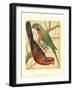 Cassell's Parrots IV-Cassell-Framed Art Print