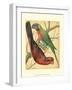 Cassell's Parrots IV-Cassell-Framed Art Print