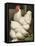Cassell's Roosters I-Cassel-Framed Stretched Canvas