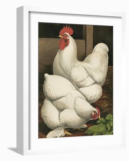 Cassell's Roosters I-Cassel-Framed Art Print