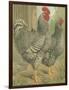 Cassell's Roosters II-Cassel-Framed Art Print