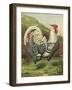 Cassell's Roosters III-Cassel-Framed Art Print