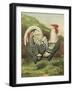 Cassell's Roosters III-Cassel-Framed Art Print