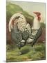 Cassell's Roosters III-Cassel-Mounted Art Print