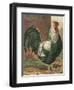 Cassell's Roosters IV-Cassel-Framed Art Print