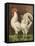 Cassell's Roosters VI-Cassel-Framed Stretched Canvas
