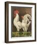 Cassell's Roosters VI-Cassel-Framed Art Print