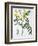 Cassia from 'Phytographie Medicale' by Joseph Roques-L.f.j. Hoquart-Framed Giclee Print