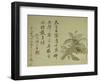 Cassia-Yun Shouping-Framed Giclee Print