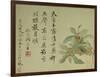 Cassia-Yun Shouping-Framed Giclee Print