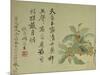 Cassia-Yun Shouping-Mounted Giclee Print