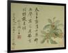 Cassia-Yun Shouping-Framed Giclee Print