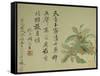 Cassia-Yun Shouping-Framed Stretched Canvas