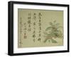 Cassia-Yun Shouping-Framed Giclee Print