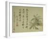 Cassia-Yun Shouping-Framed Giclee Print