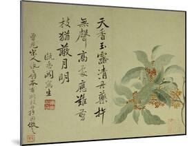 Cassia-Yun Shouping-Mounted Giclee Print