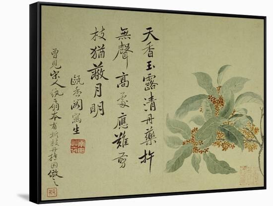 Cassia-Yun Shouping-Framed Stretched Canvas