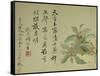 Cassia-Yun Shouping-Framed Stretched Canvas