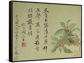 Cassia-Yun Shouping-Framed Stretched Canvas