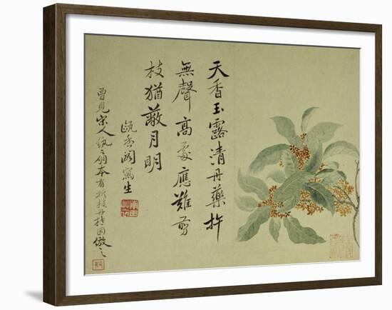 Cassia-Yun Shouping-Framed Giclee Print