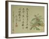 Cassia-Yun Shouping-Framed Giclee Print