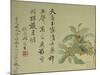 Cassia-Yun Shouping-Mounted Giclee Print