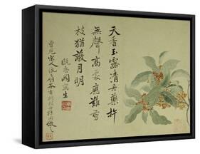 Cassia-Yun Shouping-Framed Stretched Canvas